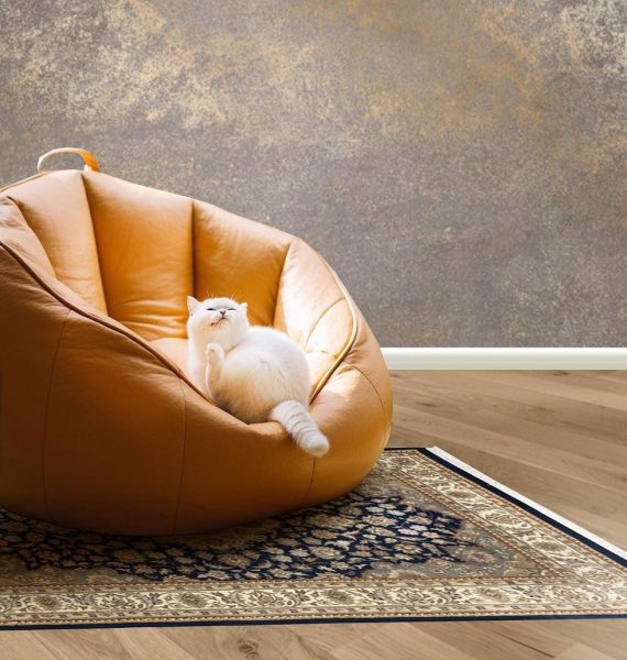 Tappeto persiano orientale sotto poltrona pouf vintage con gatto