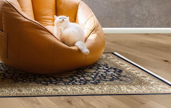 foto tappeto orientale Artorient Milano blu e oro disposto sotto un pouf moderno con un gatto