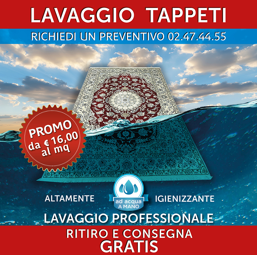 Immagine di un tappeto classico immerso nell'acqua per essere lavato.